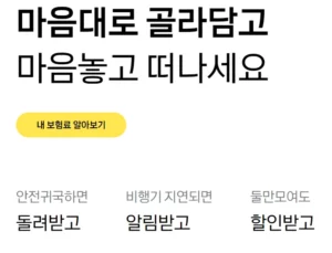 카카오 여행자보험 가입